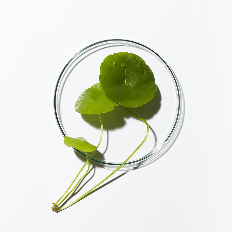 Sustainability responsible 01